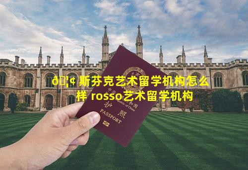 🦢 斯芬克艺术留学机构怎么样 rosso艺术留学机构